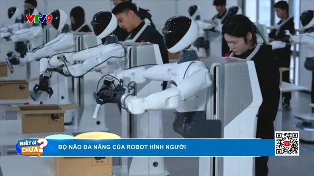 Bộ não đa năng của robot hình người