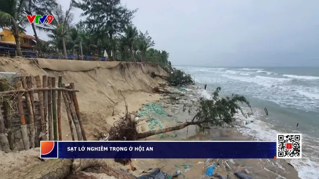 Sạt lở nghiêm trọng ở Hội An