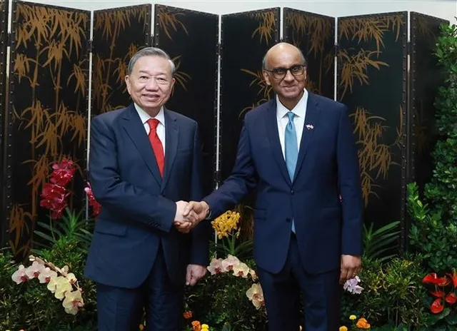 Vietnamese, Singaporean leaders highlight complementary strengths - Ảnh 1.