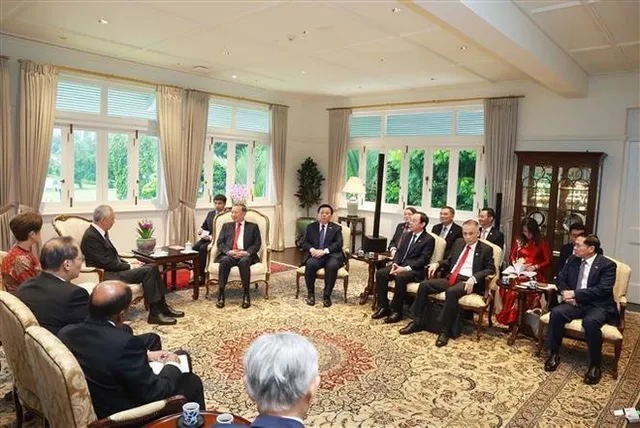 Party leader meets former Singaporean Prime Minister - Ảnh 1.