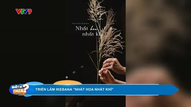 Triển lãm Ikebana với chủ đề "Nhất hoa nhất khí"