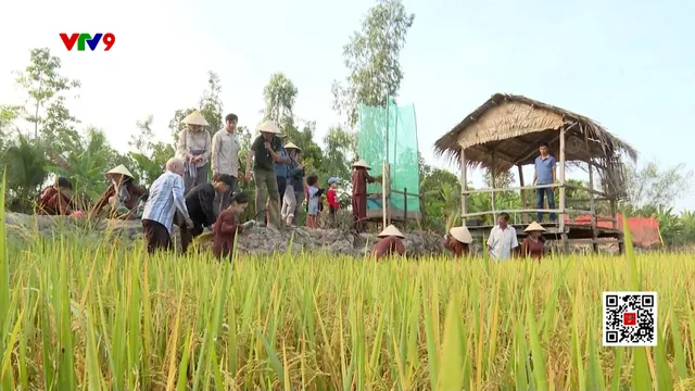 Nông nghiệp giải trí từ cánh đồng