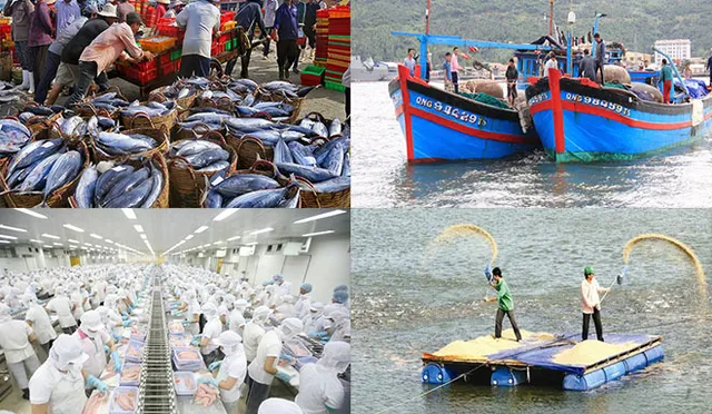 Việt Nam là thị trường cung cấp thuỷ sản lớn thứ 2 cho Brazil