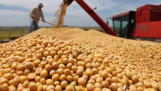 Giá đậu tương lao dốc trước lo ngại căng thẳng Mỹ-Trung
