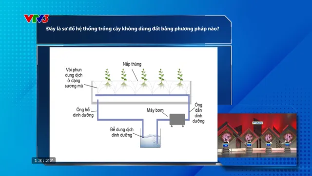 Road to Olympia Mount:   The Only Schoolgirl Will Enter the Quarter 2 Match   Revealed - Ảnh 4.