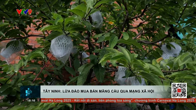 Lừa đảo mua bán mãng cầu qua MXH