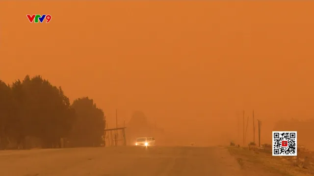 Bão cát nhuộm cam bầu trời Syria
