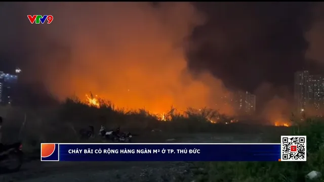 Thời sự: Phương Nam hôm nay (05/5/2025)