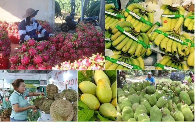 Agro-forestry-fishery trade surplus approximates 5.2 billion USD in four months - Ảnh 1.