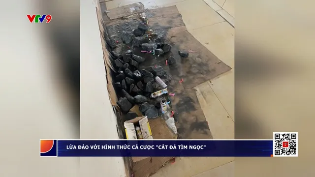 Lừa đảo chiếm đoạt tài sản dưới hình thức cá cược "Cắt đá tìm ngọc"