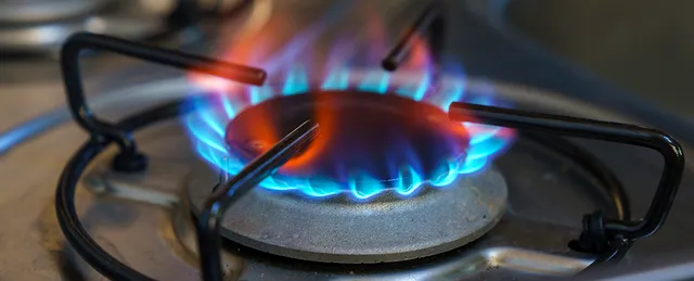Nguy cơ ung thư do bếp gas ở trẻ em cao gấp đôi người lớn
- Ảnh 1. Nguy cơ ung thư do bếp gas ở trẻ em cao gấp đôi người lớn
- Ảnh 1.
