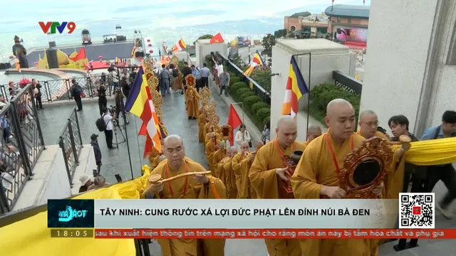 Thời sự: Toàn cảnh 24h (08/5/2025)