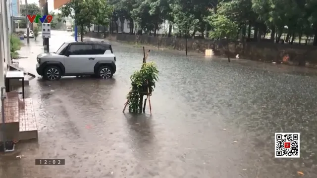 TP. Hồ Chí Minh và Đồng Nai mưa lớn kèm theo sấm sét
