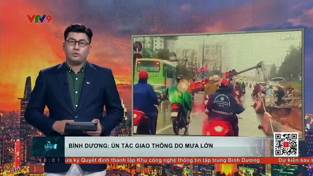Bình Dương: Cột đèn ngã trên quốc lộ 13, giải cứu dân bị ngập sâu do mưa