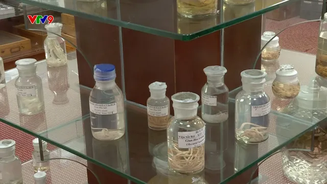 Alo Doctor: Nguy cơ nhiễm ký sinh trùng khi ăn nội tạng