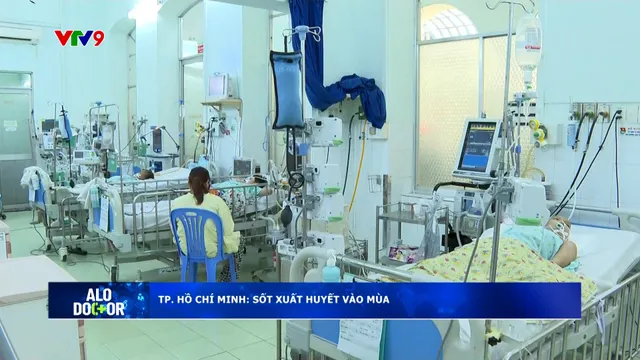 Alo Doctor (12/5/2025): TP. Hồ Chí Minh: Sốt xuất huyết vào mùa