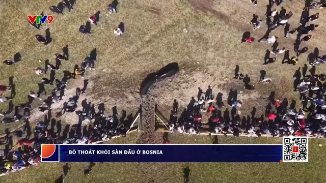 Bò thoát khỏi sàn đấu ở Bosnia, khán giả tháo chạy