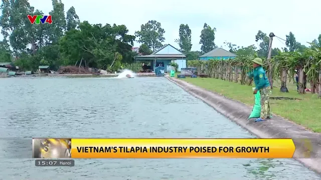 News 3 PM - 5/13/2025