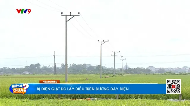 Thời sự: Biết gì chưa (15/5/2025)