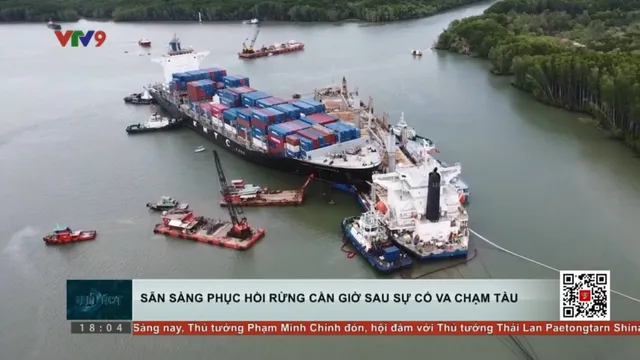Thời sự: Toàn cảnh 24h (16/5/2025)