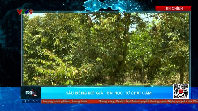 Thời sự: Toàn cảnh 24h (17/5/2025)
