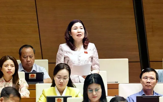 Lawmakers to discuss three-level court model - Ảnh 1.