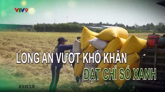 Hành trình net zero - Số 18/2025: Long An vượt khó khăn đạt chỉ số xanh