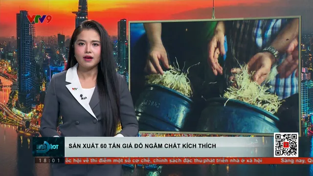 Sản xuất 60 tấn giá đỗ ngâm chất kích thích