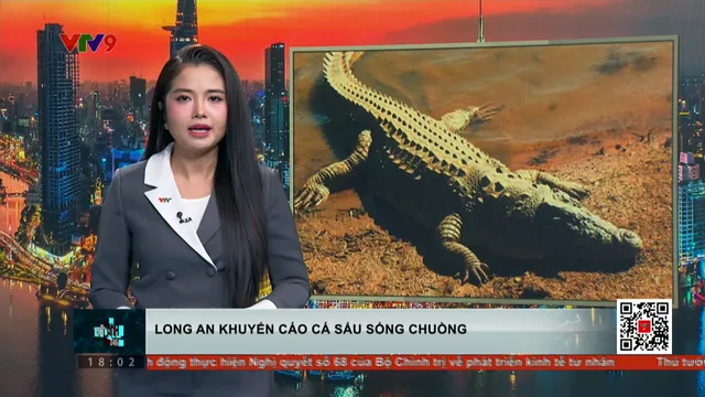 Cá sấu dài hơn 1m nghi sổng chuồng, Long An khuyến cáo khẩn cấp