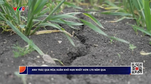 Nước Anh trải qua mùa Xuân khô hạn nhất trong 173 năm qua