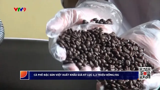 Cà phê đặc sản Việt xuất khẩu giá kỷ lục 1,2 triệu đồng/kg