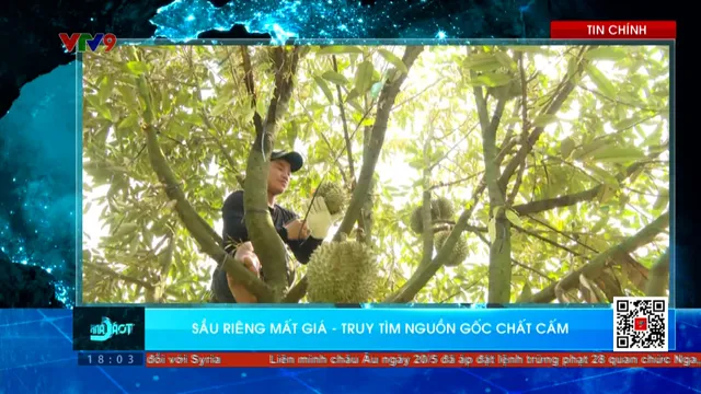 Thời sự: Toàn cảnh 24h (21/5/2025)
