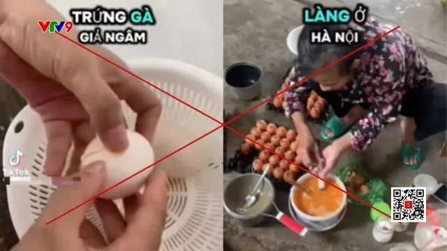 Đề nghị Bộ Công an xử lý vụ tung tin trứng gà giả