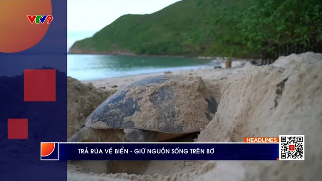 Thời sự: Phương Nam hôm nay (23/5/2025)