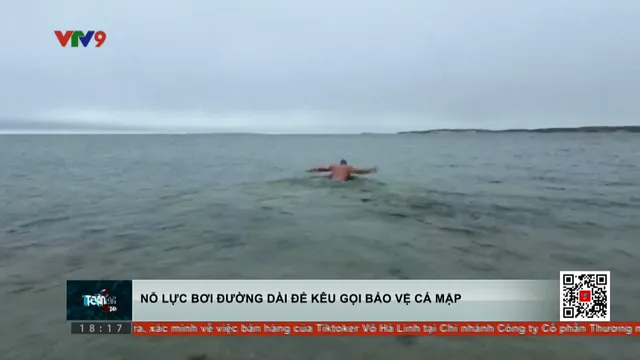 Nỗ lực bơi 100 km trong 12 ngày để kêu gọi bảo vệ cá mập