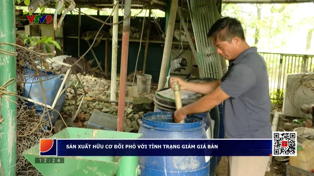 Thời sự: Phương Nam hôm nay (24/5/2025)
