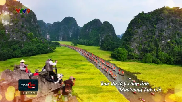 Mùa vàng Tam Cốc