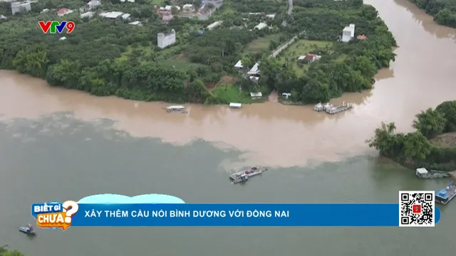 Xây thêm cầu nối Bình Dương với Đồng Nai