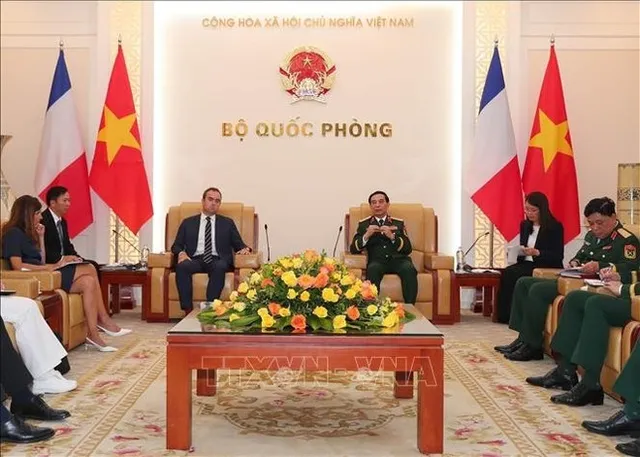 Ample room remains for Viet Nam-France defence cooperation: Minister - Ảnh 1.