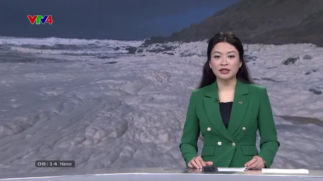 News 8 AM - 5/29/2025