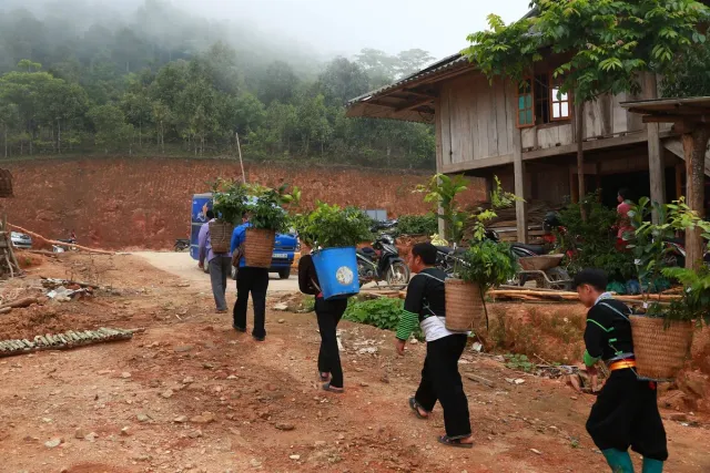 The Forest of Kindness – Over 10,000 Trees Grown from Goodwill - Ảnh 1.