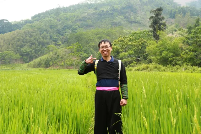 The Forest of Kindness – Over 10,000 Trees Grown from Goodwill - Ảnh 11.