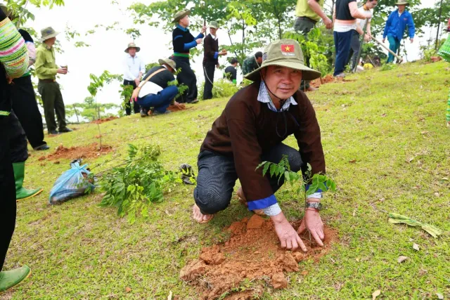 The Forest of Kindness – Over 10,000 Trees Grown from Goodwill - Ảnh 8.