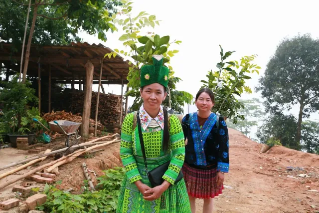 The Forest of Kindness – Over 10,000 Trees Grown from Goodwill - Ảnh 5.