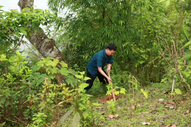 The Forest of Kindness – Over 10,000 Trees Grown from Goodwill - Ảnh 10.