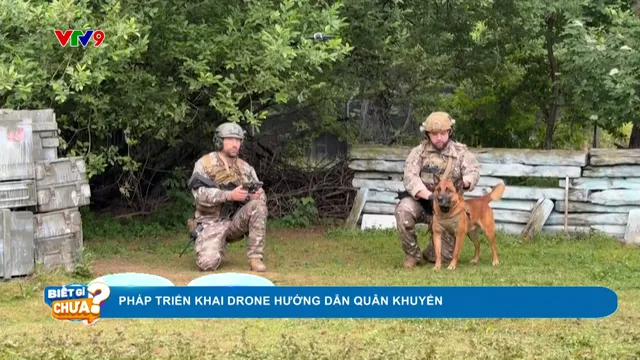 Pháp triển khai drone hướng dẫn quân khuyển