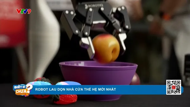 Tidybot - Robot lau dọn nhà cửa thế hệ mới nhất