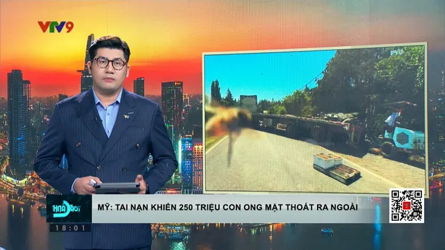 Mỹ ban bố cảnh báo khẩn sau vụ tai nạn khiến 250 triệu con ong thoát ra ngoài