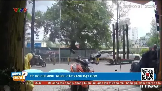 Thời sự: Biết gì chưa (01/6/2025)