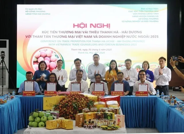Thanh Ha lychee harvest and trade promotion launched in Hai Duong - Ảnh 1.